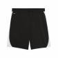 Puma Herren Trainingsshort teamFINAL26 659685 