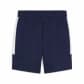 Puma Herren Short teamEVOSTRIPE 659951 