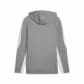 Puma Herren Kapuzenpullover teamEVOSTRIPE Hoody 659954 