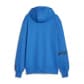 Puma Herren Kapuzenpullover Hoops Team Hoodie 676648 