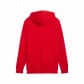 Puma Herren Kapuzenpullover ESS+ TR Hoodie 682572 