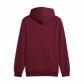 Puma Herren Kapuzenpullover ESS Small No. 1 Logo Hoodie FL (s) 682575 