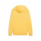 Puma Herren Kapuzenpullover ESS 2 COLOR No.1 Logo Hoodie TR 684712 