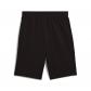 Puma Herren Short ESS 2 COLOR No. 1 Logo 10  TR 684715 