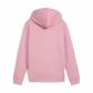 Puma Mädchen Kapuzenpullover ESS No. 1 Logo Hoodie FL G 684896 