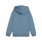 Puma Kinder Kapuzenpullover ESS No. 1 Logo Hoodie FL PS 684931 