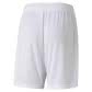 Puma Kinder Short teamGOAL 23 knit Shorts jr 704263 