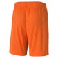 Puma Kinder Short teamGOAL 23 knit Shorts jr 704263 