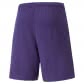 Puma Herren Shorts teamRISE Short 704942 