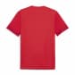 Puma Herren Trikot teamGOAL Matchday Jersey 705747 