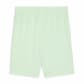 Puma Herren Short teamGOAL Shorts 705752-60 L Fresh Mint-PUMA Black | L