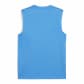 Puma Herren Trainingsshirt teamGOAL Sleeveless Jersey 705913 