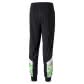 Puma Herren Trainingshose Borussia Mönchengladbach Iconic 765176-02 S Puma Black-Classic Green | S