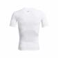 Under Armour Herren T-Shirts HG Armour Comp SS 1361518 