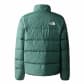 The North Face Jugendliche Daunenjacke Teen Revers. North Down Jacket 82YU-I0F 124-129 Dark Sage | 124-129
