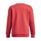 Under Armour Damen Pullover Essential Fleece Crew 1373032 