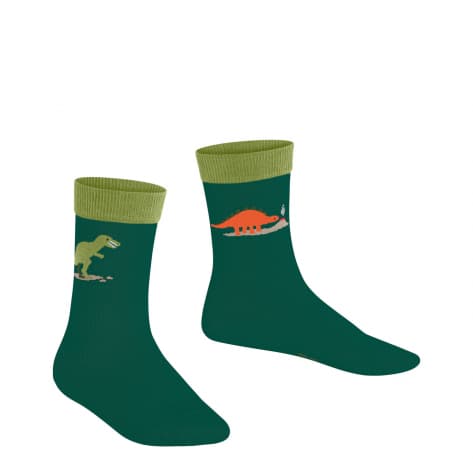 Falke Kinder Socken Dinosaurs 10354 