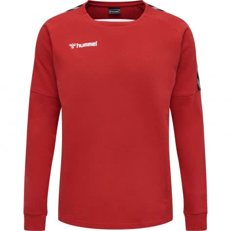 Hummel Herren Sweatshirt Authentic Training Sweat 205373 