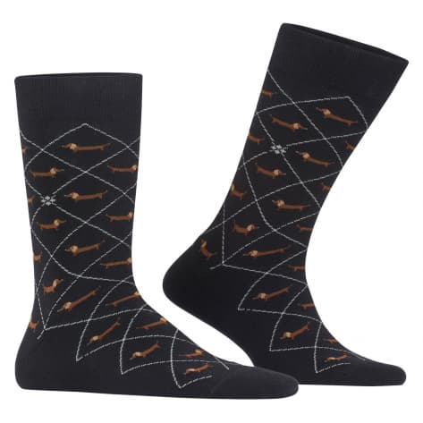 Falke Herren Socken Dachshund SO 21200-3000 40-46 Black | 40-46