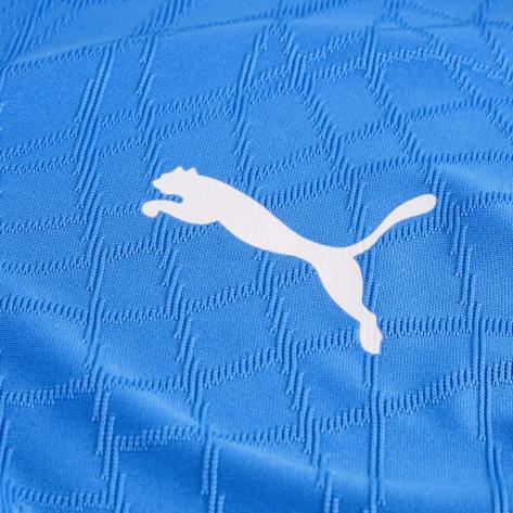 Puma Herren Trikot teamFINAL26 Knit Jersey 706651 