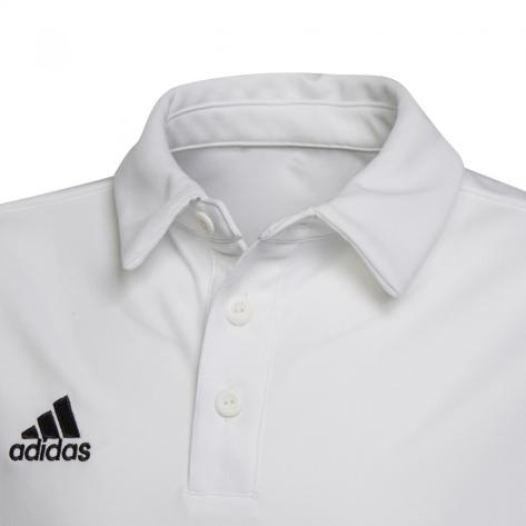 adidas Herren Poloshirt Entrada 22 Polo 