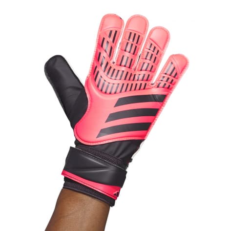adidas Torwarthandschuhe Predator Training 