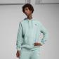 Puma Herren Kapuzenpullover ESS 2 COLOR Small No. 1 Logo Hoodie FL 684718 