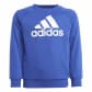 adidas Kinder Trainingsanzug Essentials Logo French Terry 