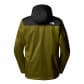 The North Face Herren Jacke Evolve II Triclimate CG55 