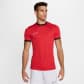 Nike Herren T-Shirt Dri-FIT Academy 25 FZ9754-657 L University Red/Blck/Wht/Wht | L