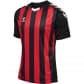 Hummel Herren Trikot Core Striped XK Polo Jersey S/S 211458 