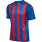 Hummel Herren Trikot Core Striped XK Polo Jersey S/S 211458 