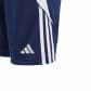 adidas Kinder Short Tiro 24 Training Short Y 