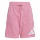 adidas Kinder Set J BL T-SET 