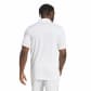 adidas Herren Poloshirt Squadra 25 C POLO 