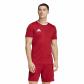 adidas Herren Trikot Entrada 26 Jersey 