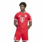 adidas Herren FC Bayern München Home Trikot 2026/27 