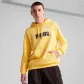 Puma Herren Kapuzenpullover ESS 2 COLOR No.1 Logo Hoodie TR 684712 