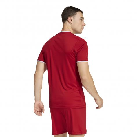 adidas Herren Trikot Entrada 26 Jersey 