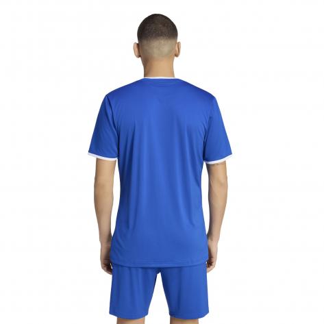 adidas Herren Trikot Entrada 26 Jersey 
