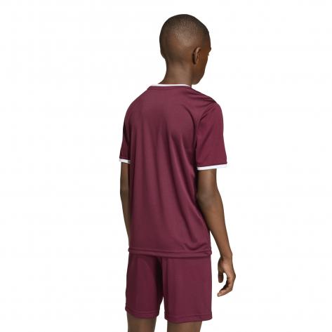 adidas Kinder Trikot Entrada 26 Jersey Y 
