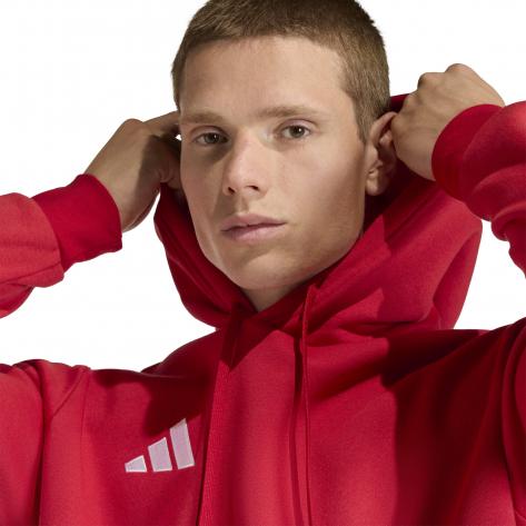 adidas Herren Kapuzenpullover Entrada 26 Hoody 