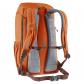 Deuter Rucksack Walker 24 