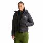 The North Face Damen Daunenjacke W Hyalite Down Hoodie 8E75-JK3 M TNF Black | M