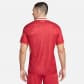 Nike Herren Trikot FC Liverpool 2024/25 Stadium Home FN8798 