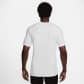 Nike Herren T-Shirt Dri-FIT Fitness T-S HJ3594 