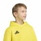adidas Kinder Kapuzenpullover Entrada 26 Hoody Y 