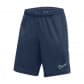 Nike Herren Short Dri-FIT Academy 25 FZ9776 