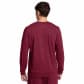 Under Armour Herren Langarmshirt Rival Terry LC Crew 1370404 