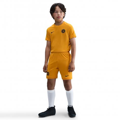 Nike Kinder Trikot Erling Haaland Dri-Fit Academy25 TOP SS  HV0229 